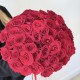 ️‍ Wow букет из 51 красной розы
