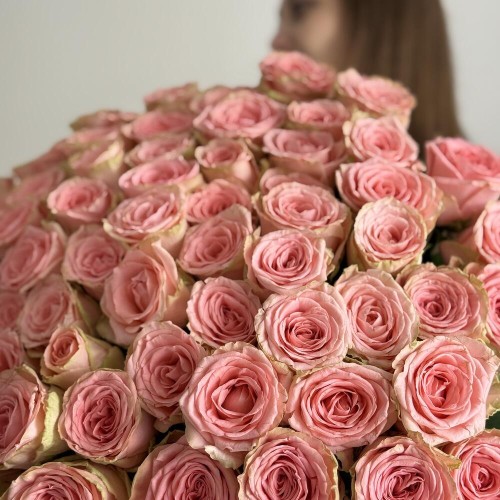Wow букет из 101 розы Софи Лорен «bloom room»