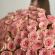 Wow букет из 101 розы Софи Лорен «bloom room»