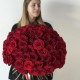 ️‍ Wow букет из 101 красной розы