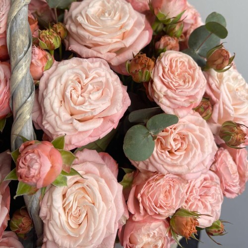 Корзина «XL» c пионовидной розой Мадам бомбастик + подарок от Vivienne Sabo — румяна MACARON