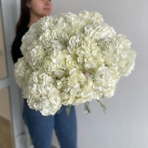 WOW моно букет из гортензий