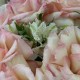 Пышный букет из французской розы и альстромерии