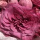 Чудесный букет «Bloom Room» с пионовидными розами и эвкалиптом