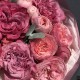 Чудесный букет «Bloom Room» с пионовидными розами и эвкалиптом