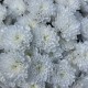 Роскошный букет «Bloom Room из пышных кустовых хризантем в дизайнерском оформлении