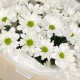 Букет « Улыбка солнца» из ромашковых хризантем
