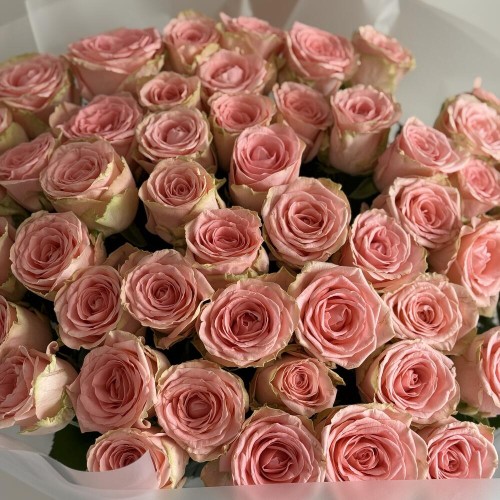 Букет «Bloom room» из 51 розы Софи Лорен
