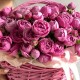 Корзина s из кустовой пион.розы сорта Мисти баблз