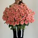 букет из 101 Розы Софи Лорен «Bloom room»