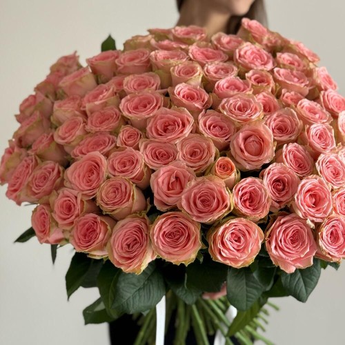 букет из 101 Розы Софи Лорен «Bloom room»