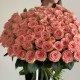 букет из 101 Розы Софи Лорен «Bloom room»