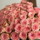 букет из 101 Розы Софи Лорен «Bloom room»
