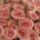 букет из 101 Розы Софи Лорен «Bloom room»