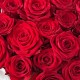 Монобукет "Пылкая любовь" Bloom Room: 25 красных роз