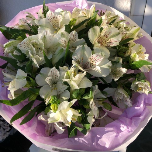 Монобукет "Ароматный шёлк" Bloom Room: альстромерия
