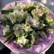 Монобукет "Ароматный шёлк" Bloom Room: альстромерия