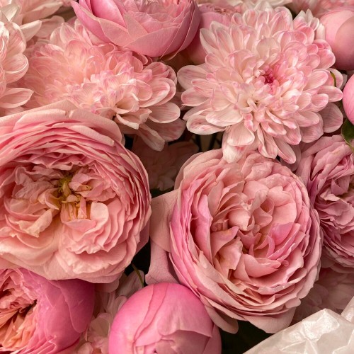 Букет из кустовой розы сорта pink silva и хризантемы