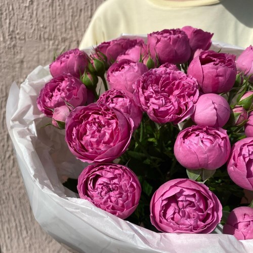 Букет «Bloom room» из яркой кустовой пионовидной розы
