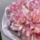 Букет «Bloom room» из крупных французских роз