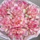 Букет «Bloom room» из крупных французских роз