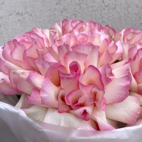 Букет «Bloom room» из крупных французских роз