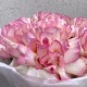 Букет «Bloom room» из крупных французских роз
