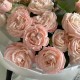 Монобукет "Нежная волна" Bloom Room: кустовая пионовидная роза