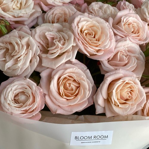Монобукет "Весенний поцелуй" Bloom Room: роза