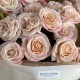 Монобукет "Весенний поцелуй" Bloom Room: роза
