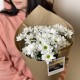 Монобукет "Ромашка" Bloom Room: хризантема