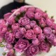WOW Корзина Bloom Room Большой выбор в профиле магазина» кустовая пион Роза Мадам бомбастик