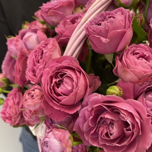 WOW Корзина Bloom Room Большой выбор в профиле магазина» кустовая пион Роза Мадам бомбастик