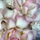 Коробочка «Bloom room» с французскими розами!  Bloom room: большой выбор букетов в профиле магазина