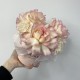 Коробочка «Bloom room» с французскими розами!  Bloom room: большой выбор букетов в профиле магазина