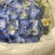 Летний букет из гортензии и танацетума «небо и ромашки»