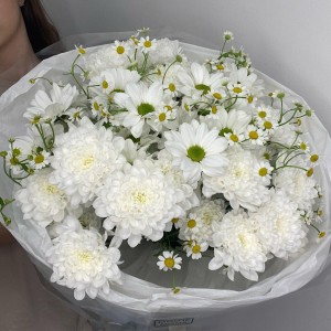 ️  Летний букет «Bloom room    Ромашка и хризантема