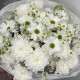 ️  Летний букет «Bloom room    Ромашка и хризантема