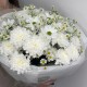 ️  Летний букет «Bloom room    Ромашка и хризантема