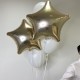 Набор из 5 воздушных шаров«Bloom room»
