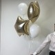 Набор из 5 воздушных шаров«Bloom room»