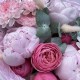 Малиновый букет  Bloom room, пион, пионовидная кустовая роза, хризантема, лагурус сухоцвет