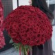️‍ Букет сильных чувств 101 красная роза