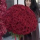 ️‍ Букет сильных чувств 101 красная роза
