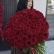 ️‍ Букет сильных чувств 101 красная роза