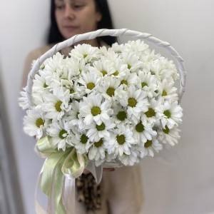 Композиция  Bloom room  из невероятных ромашек