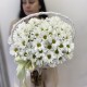 Композиция  Bloom room  из невероятных ромашек