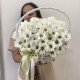 Композиция  Bloom room  из невероятных ромашек