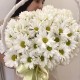Композиция  Bloom room  из невероятных ромашек