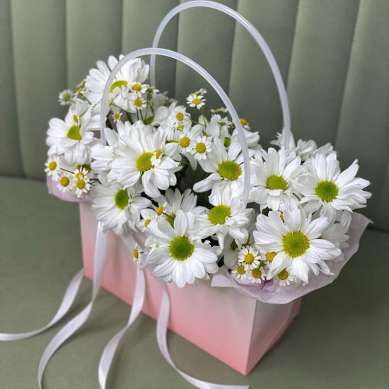 ️Сумочка с ромашками «Bloom room»